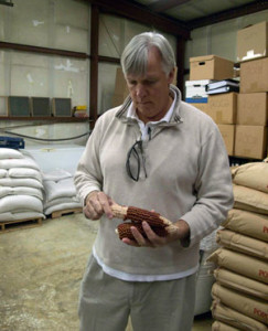 Fig. 1. Glenn Roberts holding cob of Red Flint Corn at Anson Mills, Columbia, South Carolina. Photograph by David S. Shields. Courtesy of Carolina Gold Rice Foundation, Charleston, South Carolina.