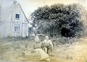 Fig. 2. Fig bushes, Hog Island, Virginia (c. 1890). Figs introduced onto the islands in the early nineteenth century flourished. Figs of this variety likely provided the main ingredient in the preserves served as dessert to Grover Cleveland. Photograph courtesy of Buck and Helene Doughty.