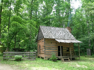 Fig. 3. Mr. Duckett's slave cabin and garden, Prince George's County, Maryland, 2010. Photo by C. H. Weierke, courtesy of the author.