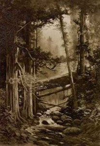 Fig. 2 and 3. The paper the photogravure was printed on made a difference. Compare Redwoods on Boulder Creek, from a painting by Julian Rix, as printed on India paper, above, and on the heavy plate paper, to the right. The India paper absorbs more ink, producing richer, darker tones, while images printed on the heavier paper are not so dark and show more detail. Courtesy of Special Collections, University of Virginia Library.