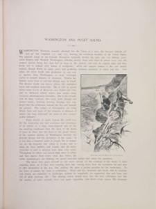 Fig. 9. Al Hencke’s Cliff-Hunting for Eggs and Young Gulls, wood engraving by C. Woodley. Courtesy of Special Collections, University of Virginia Library. 