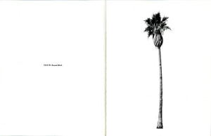 Fig. 11. "5529 W. Sunset Blvd." From Ed Ruscha's A Few Palm Trees (1971). Courtesy of Ed Ruscha/Gagosian Gallery. 