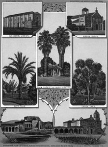 Fig. 8. Palms and yuccas juxtaposed with the missions where the Spanish friars initially funded the most emblematic tropical plants into the region. From a Ward Brothers "souvenir" album (1886). Courtesy of the Beinecke Rare Book and Manuscript Library, Yale University.