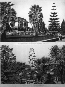 Fig. 9. "Residences and Grounds on Figueroa Street" (top) and "Floral Scene At Private Residence" (bottom). From a Ward Brothers "souvenir" album (1886). Courtesy of the Beinecke Rare Book and Manuscript Library, Yale University.