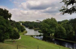 Fig. 7. A view of Painshill Park, with the Gothic Temple visible in the distance and a Cedar of Lebanon soaring over the Grotto in the center of the frame (2005). Photo courtesy of the author.