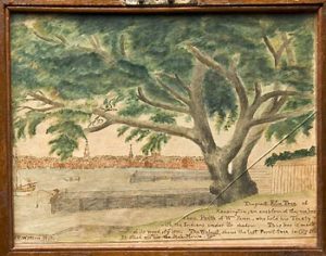 Fig. 5. Watson's watercolor of the Treaty Elm. Courtesy of the Winterthur Museum.
