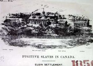 4. "Elgin Settlement," photograph (ca. 1850). Courtesy of the Buxton National Historic Site & Museum, North Buxton, Ontario, Canada.