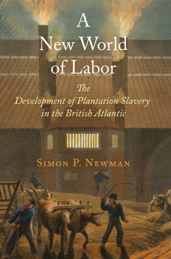 English rulers and landowners, faced with the challenge of controlling a growing mass of under- or unemployed people, believed that in the right circumstances one individual could seize the body and labor of another, taking away liberty and independence and extracting work through violence.