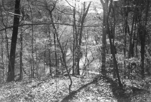 Fig. 3. The Hermits of the Wissahickon tabernacle, which stood on this site, may have been Charles Brockden Brown's inspiration for Father Wieland's private temple. From Charles Brockden Brown's Revolution and the Birth of American Gothic. Photograph by Peter Kafer, courtesy the University of Pennsylvania Press.