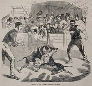 A dog fight with cheering gamblers, from The Sporting Times, September 19, 1868. Courtesy of the American Antiquarian Society.