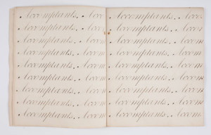 "Accomptants," two pages of penmanship from a penmanship book by Samuel May of Leicester, Massachusetts, Copy Book, 1822, octavo, Volume "P," No. 19 (1762-1856). Courtesy of the Penmanship Collection, American Antiquarian Society, Worcester, Massachusetts.
