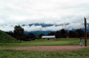Fig. 5. Photograph of the Chimalapas, a tropical rainforest on the Isthmus of Tehuantepec. Courtesy of the author, 2001.