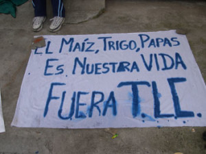 Fig. 2 Protest banner proclaiming "Corn, Wheat, Potatoes are our Life: Out with the Treaty" that was used during free trade strike, March 2006. Courtesy of Rudi Colloredo-Mansfield