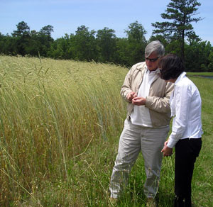 Fig. 3. Glenn Roberts and Patricia Moore-Pastides, author of Greek Revival: Cooking for Life, examining an intercropped field at Old Field, South Carolina. Photograph by David S. Shields. Courtesy of Carolina Gold Rice Foundation, Charleston, South Carolina.