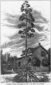 Fig. 5. "Century Plant.—Residence of Mr. O. H. Bliss, Los Angeles." From Southern California Illustrated (1883): 15. Courtesy of the Los Angeles Public Library.