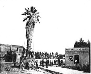 Fig. 7. A palm tree in transit. Suggesting the usual destination of smaller versions of the same, the photographer made sure to capture the real estate office (and its signage) to the right. Courtesy of The Huntington Library, San Marino, California.